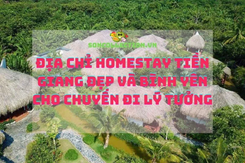 Địa chỉ homestay Tiền Giang đẹp và bình yên cho chuyến đi lý tưởng