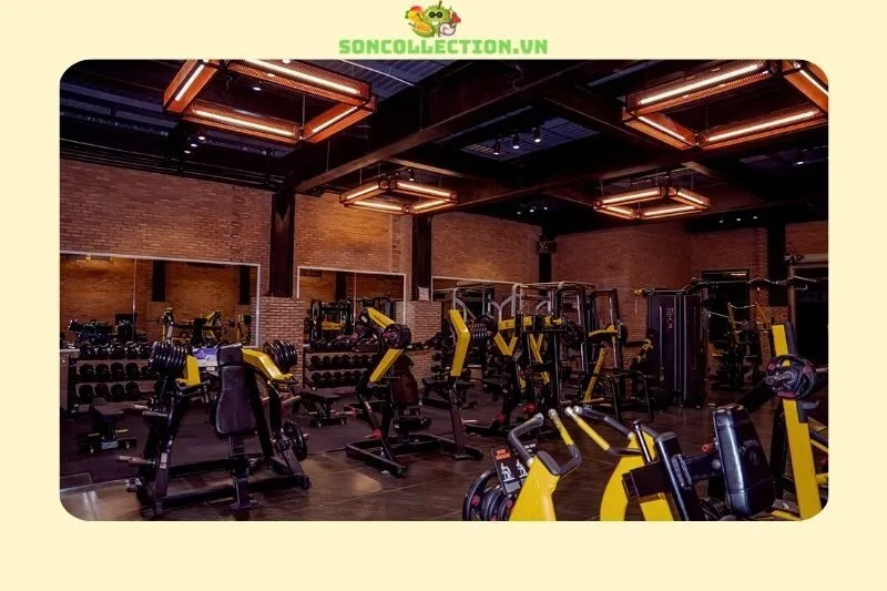 Gold Gym Center