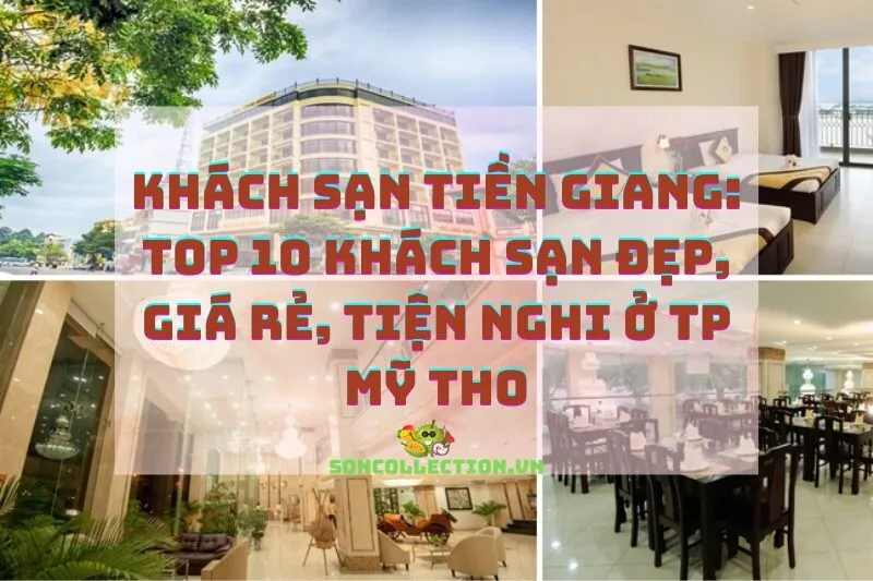 Khách sạn Tiền Giang: Top 10 Khách sạn Đẹp, Giá Rẻ, Tiện Nghi ở TP Mỹ Tho