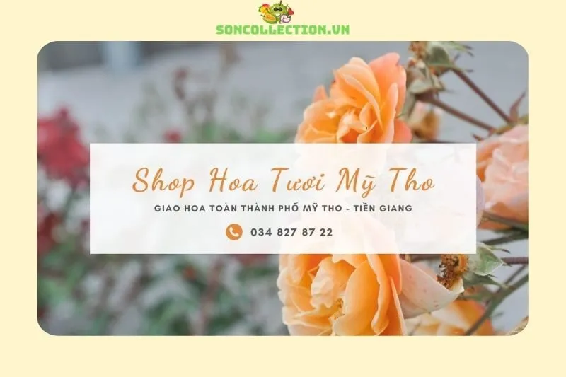 Shop Hoa Tươi Mỹ Tho Tiền Giang