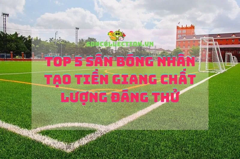 Top 5 Sân Bóng Nhân Tạo Tiền Giang Chất Lượng Đáng Thử