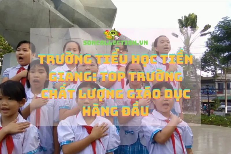 Trường Tiểu Học Tiền Giang: Top Trường Chất Lượng Giáo Dục Hàng Đầu